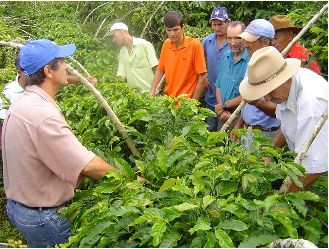 Agroturismo em Vila Valério: Conectando Agricultura e Turismo